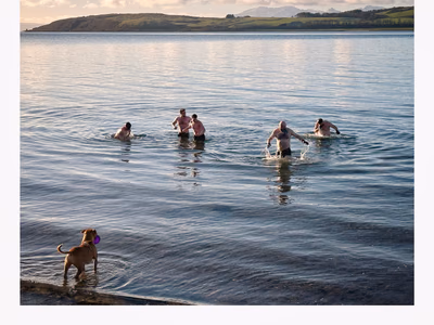 Daring Dips