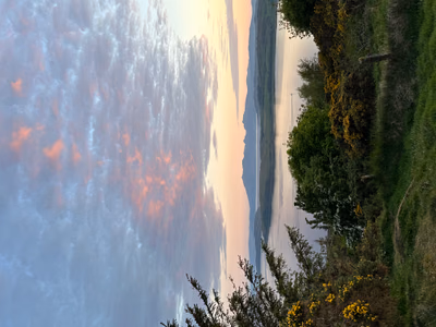 Viewpoint Views